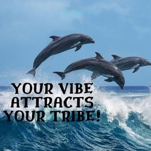 What Tribe are You Attracting?